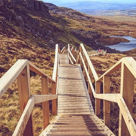 Wisteria * 百利科内尔