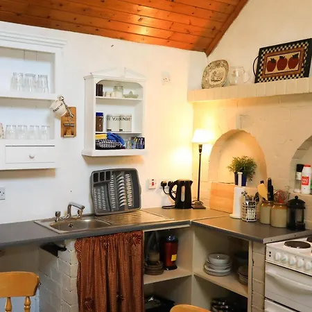 Wisteria 百利科内尔