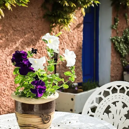 Wisteria 度假居 百利科内尔