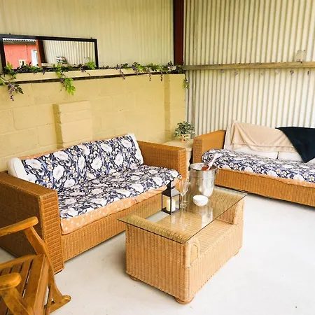 Wisteria * Ballyconnell (Cavan)