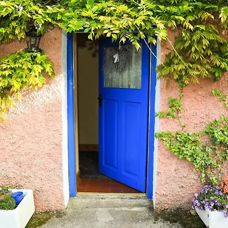 Wisteria 百利科内尔