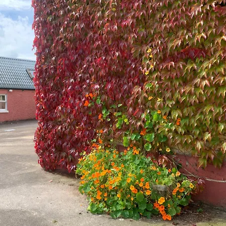 Wisteria Holiday home Ballyconnell (Cavan)