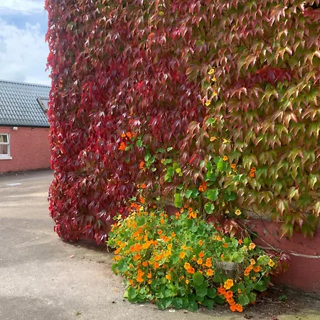 Wisteria Feriehus Ballyconnell (Cavan)