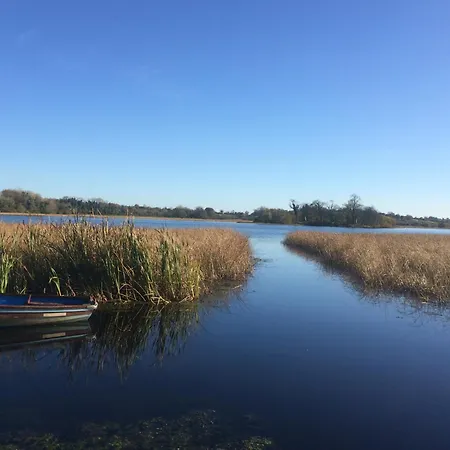 Wisteria 百利科内尔
