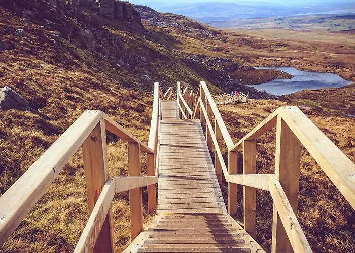 Wisteria * Ballyconnell (Cavan)