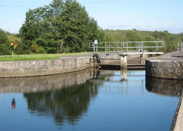 Wisteria * Ballyconnell (Cavan)