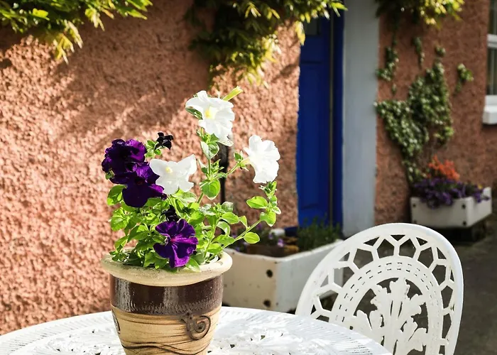 Wisteria Holiday home Ballyconnell (Cavan)