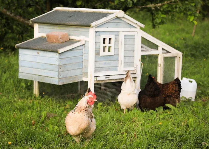 Wisteria Дом отдыха