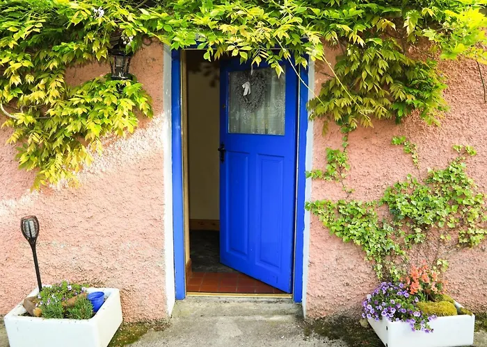 Wisteria Ballyconnell (Cavan)
