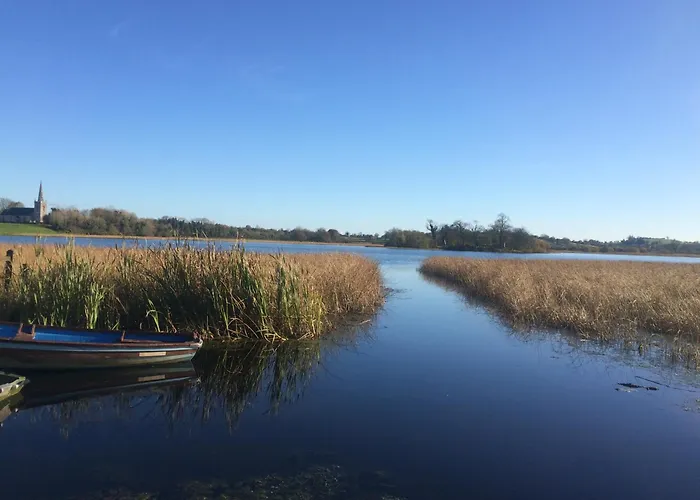 Wisteria Ballyconnell (Cavan)